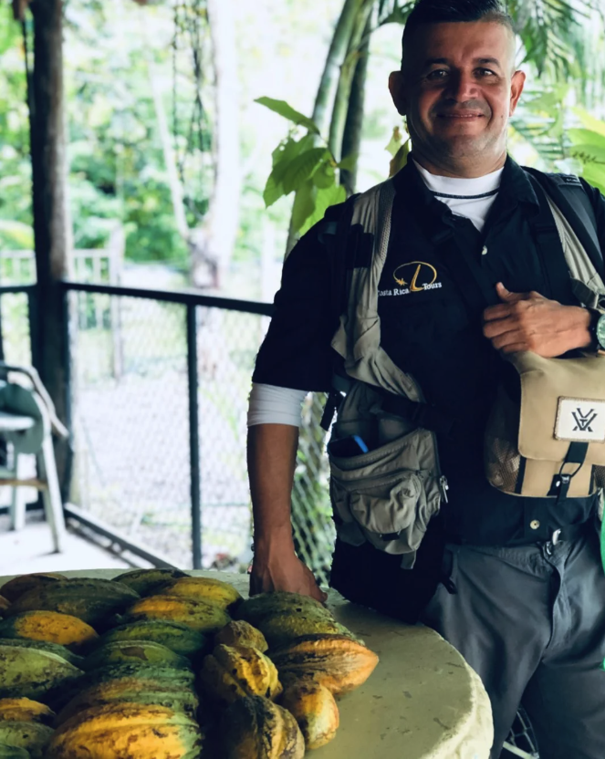 Cacao beans and pod at Mona Golosa chocolate farm near Playa Hermosa